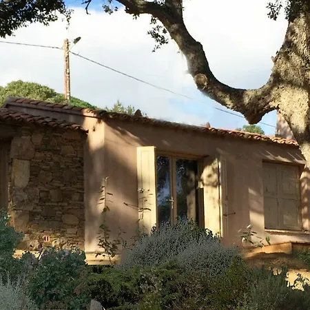 Les Oliviers 酒店 维琪奥港