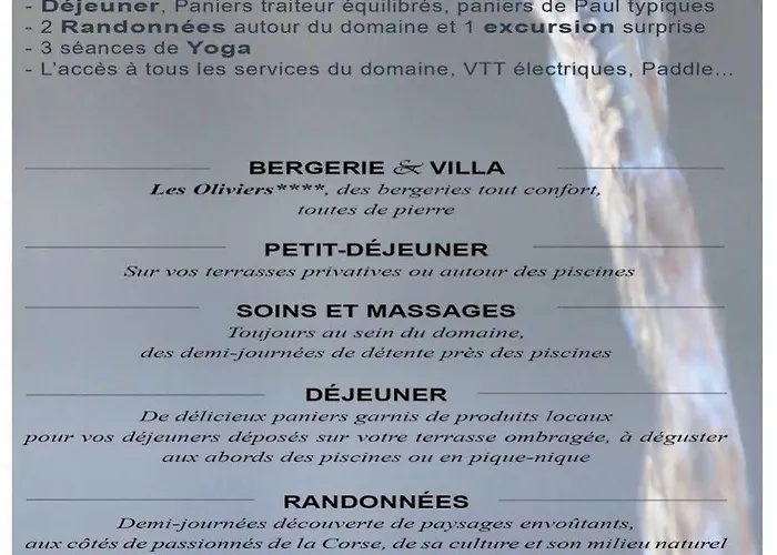 Les Oliviers 酒店 维琪奥港