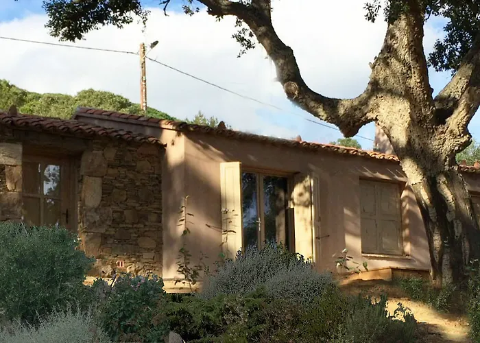 Les Oliviers 酒店 维琪奥港