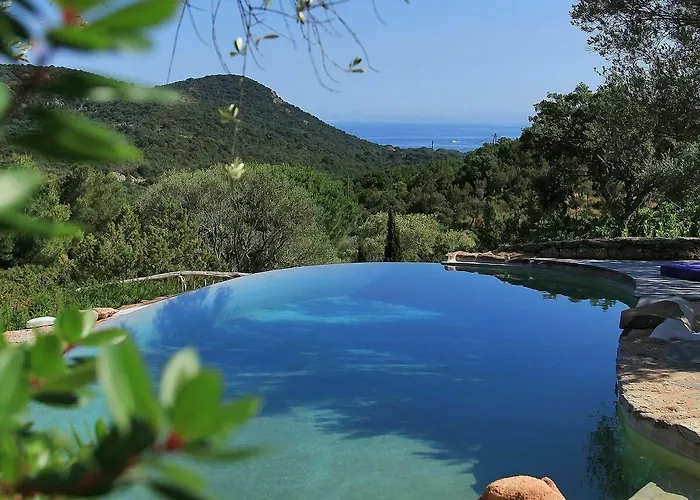 Les Oliviers 维琪奥港