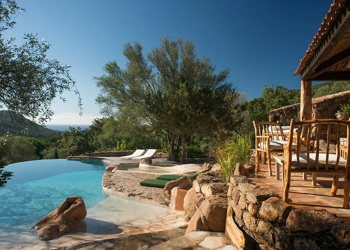 Les Oliviers * 维琪奥港