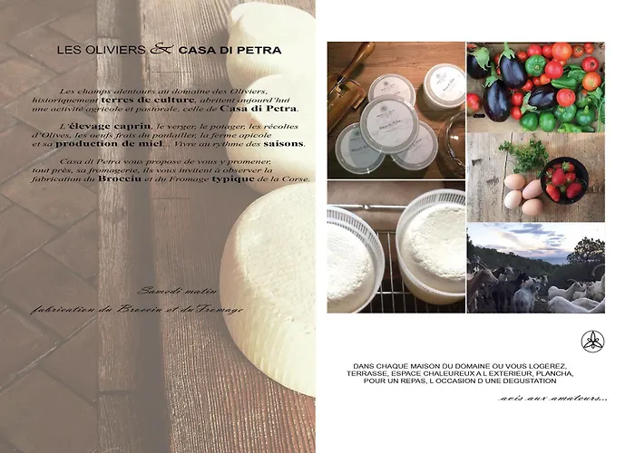 Les Oliviers * Porto-Vecchio (Corsica)