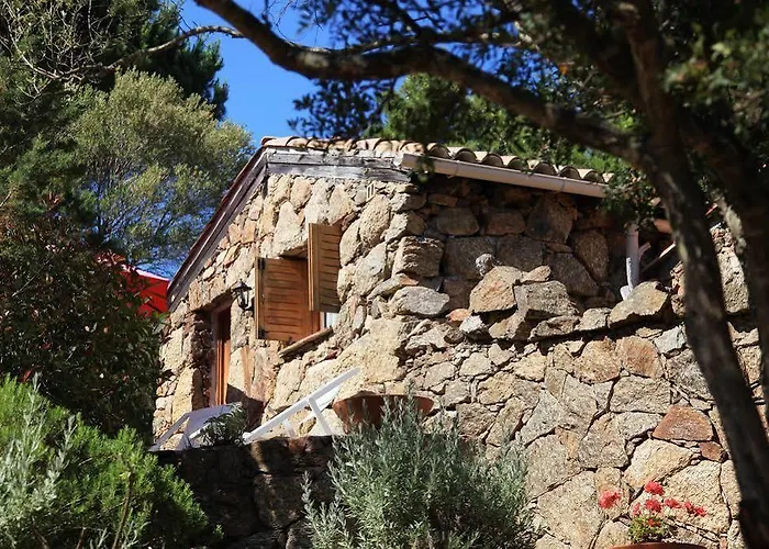 Les Oliviers Porto-Vecchio (Corsica)