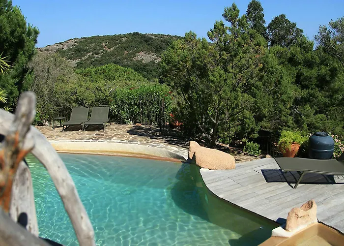 Les Oliviers Porto-Vecchio (Corsica)